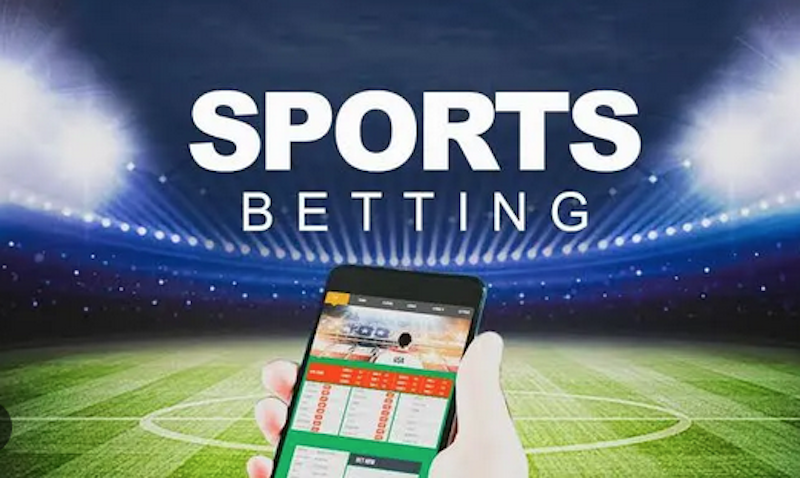 Descubra Como Apostar com Sucesso no Betwinner