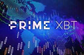 Exploring the PrimeXBT Online Platform A Comprehensive Guide