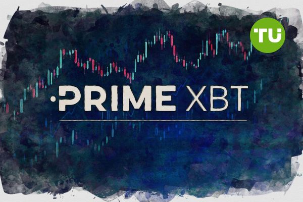 Understanding PrimeXBT Live Trading 5